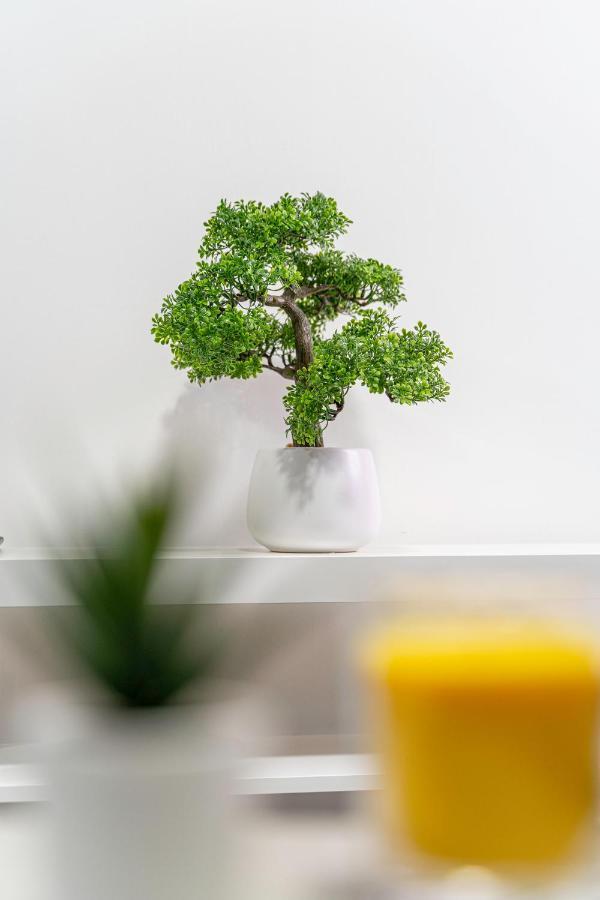 Jkg Property Solutions Presents Cosy City Apartment コヴェントリー エクステリア 写真